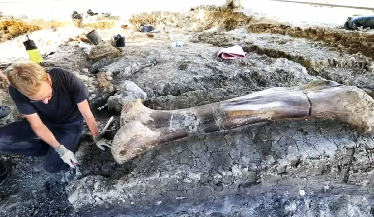 VIDEO Francuski znanstvenici pronašli ogromnu bedrenu kost dinosaura